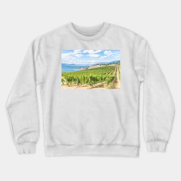 Okanagan Valley Vineyard View Crewneck Sweatshirt by Amy-K-Mitchell